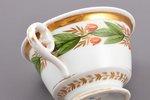 чашка, фарфор, Фарфоровый завод Гарднера, ручная роспись, Российская империя, 2-я половина 19-го век...