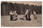 postcard, practical training in private farming, Russia, beginning of 20th cent., 13,8x8,8 cm...