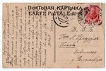 открытка, практические занятия по частному земледелию, Российская империя, начало 20-го века, 13,8x8...