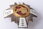 знак, фотография, 5-й Цесисский пехотный полк, бронза, Латвия, 20е-30е годы 20го века, 47 x 47 мм...