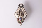 badge, student's badge, University of Latvia (small size), Nº 419, silver, enamel, 875 standard, Lat...