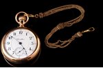 pocket watch, "Hamilton", USA, the beginning of the 20th cent., metal, gold plated, 127.8 g, Ø 56 mm...
