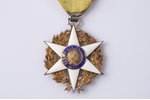 Order of Agricultural Merit, silver, enamel, 800 standard, France, 47.1 x 36.9 mm, enamel chips...
