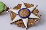 Order of Agricultural Merit, silver, enamel, 800 standard, France, 47.1 x 36.9 mm, enamel chips...