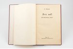J. Rainis, "Ave sol!", 1914 г., “Dzirciemnieku” izdevums, Рига, 61 стр., 22.5 x 14.5 cm...
