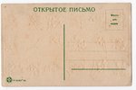 postcard, relief printing, flower's language, Russia, beginning of 20th cent., 14x9 cm...