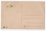 открытка, Выборг (Viipuri), ул. Петра, Российская империя, начало 20-го века, 13.8x8.8 см...