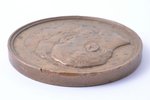 table medal, In commemoration of the 50th anniversary of the Moscow Bourse, bronze, Russia, 1889, Ø...