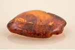a brooch, amber, 26.40 g., the item's dimensions 53 x 66 x 1.7 cm...