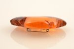a brooch, amber, 26.40 g., the item's dimensions 53 x 66 x 1.7 cm...
