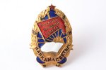 badge, Outstanding person of public education, USSR, Belarus, 40-50ies of 20 cent., 36.5 х 25 mm, en...