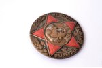 badge, Little Octobrists - the grandchildren of Ilyich Lenin, USSR, the 30ies of 20th cent., Ø 29.8...