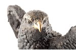 figurine, "Eagle", signed Barye, bronze, marble, h 38 cm, weight 9850 g., France, beginning of 21st...