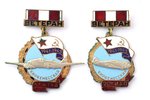 пара знаков, Ветеран, 5-я минно-торпедная авиационная Киркенесская Краснознамённая дивизия, 20-й гва...