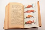 "Pavārniecības māksla", составил Minjona, 1927 г., Valtera un Rapas akc. sab. izdevums, Рига, X, 558...
