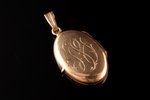 a medallion, gold, 585 standard, 7.78 g., the item's dimensions 3.4 x 1.8 cm...