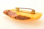 a brooch, amber, 9.8 g., the item's dimensions 2.4 x 5.8 x 1 cm...
