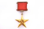 medal, Hero of Socialist Labor, No. 11233, awarded to Rivare Monika Albertovna - head of the poultry...