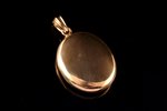 a medallion, gold, 18 k standard, 16.05 g., the item's dimensions 4 x 2.9 cm, Finland, in a case...