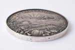 table medal, For diligence, the Ministry of Agriculture, silver, Latvia, 20-30ies of 20th cent., Ø 6...