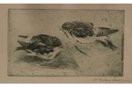 Induss-Muceniece Maria (1904-1974), Bullfinches, 1930е, paper, etching, 9.5 x 16.5 cm...