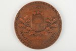 table medal, For diligence, Ministry of agriculture, copper, Latvia, 1930, 60 x 6 mm...