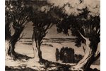 Apinis Arturs (1904-1975), Willow near Kandava, 1965, paper, etching, 29 x 39.5 cm...