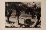 Apinis Arturs (1904-1975), Willow near Kandava, 1965, paper, etching, 29 x 39.5 cm...