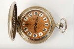 pocket watch, "Molniya", enamels, USSR, the beginning of the 20th cent., metal, working, ideal condi...
