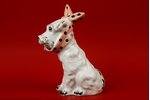 statuete, Suns lakatā, porcelāns, Rīga (Latvija), PSRS, autordarbs, modeļa autors - Taisia  Poluikev...