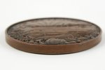 table medal, For diligence, Agriculture ministry, bronze, Latvia, 20-30ies of 20th cent., d = 5 cm...