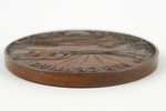 table medal, For diligence, Agriculture ministry, bronze, Latvia, 20-30ies of 20th cent., d = 5 cm...
