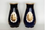 vase, set, Rīga porcelain factory, Riga (Latvia), USSR, the 70-80ies of 20th cent., 31 cm...