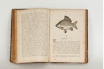 С.Т.Аксаковъ, "Записки объ ужене рыбы", 1886 g., Sanktpēterburga, 320 lpp....