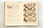 Ф.Берге, "Маленькiй атласъ бабочекъ", 1913 g., изданiе В.И.Губинскаго, Sanktpēterburga, 212 lpp....