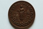 table medal, For diligence, Mitava agriculture society, Russia, 19th cent. 2nd part, 39 x 4 mm, 29.6...
