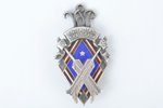 badge, The 4th Population Census, 3rd rate, silver, Latvia, 20-30ies of 20th cent., 45 x 25 mm...