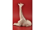 figurine, Giraffe, porcelain, Riga (Latvia), USSR, sculpture's work, molder - Peter Veselov, the 50i...