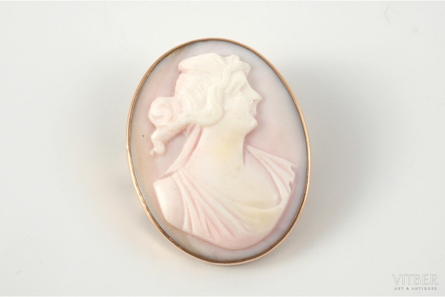 a brooch, cameo, gold, 56 standard, 7.10 g., the item's dimensions 3 x 2.4 cm, the beginning of the 20th cent., Odessa, Russia