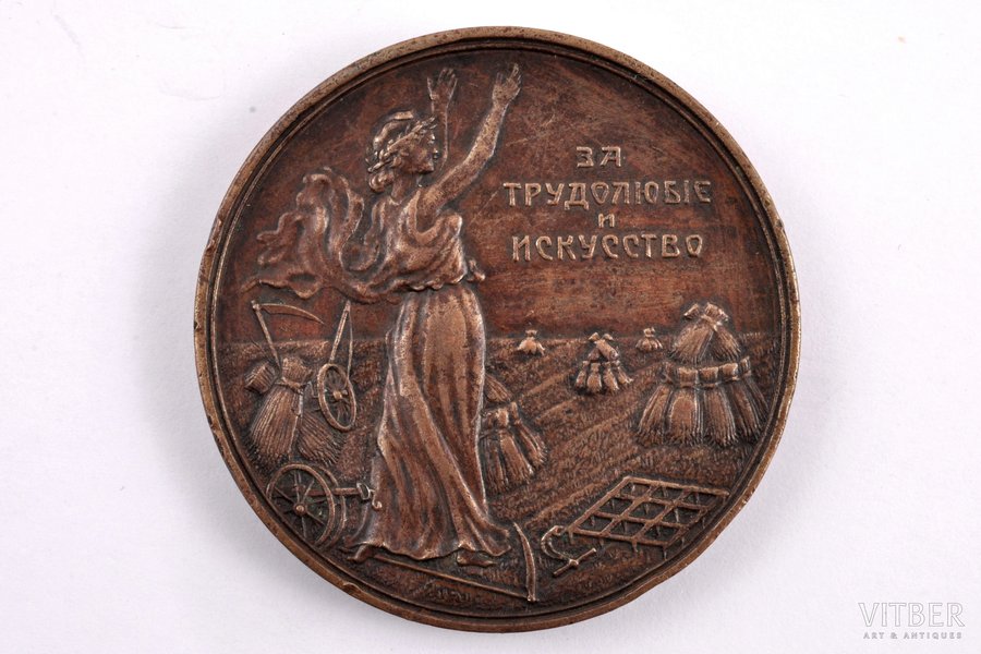 medal, For diligence and art, Millerov Agricultural Society of the Province of the Don Войска Донского, bronze, Latvia, Russia, 19th cent. 2nd part, Ø 48 mm, 64.95 g