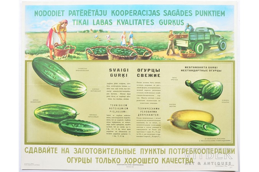 Nododiet tikai labas kvalitātes gurķus!, 1958 g., papīrs, 57.7 x 45.1 cm, mākslinieks - A. Ranks, izdevējs - "Kooptorgreklama Centrosojuza", Maskava