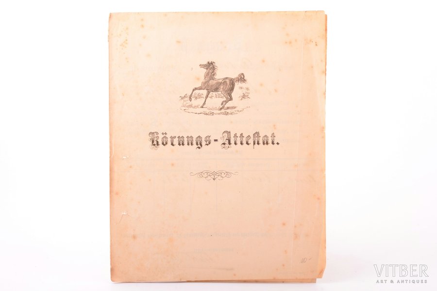 document, horse passport, Russia, Estonia, 1907, 23 x 18.5 cm