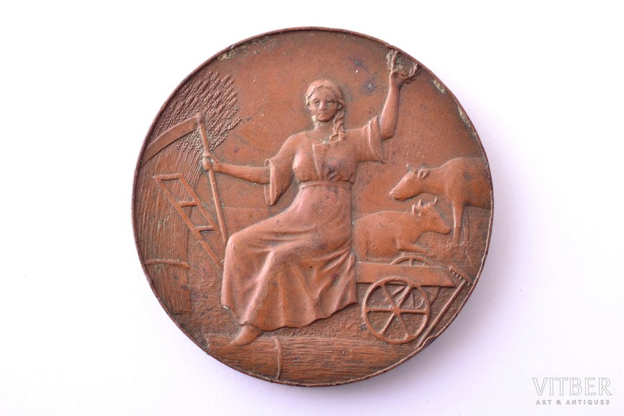 table medal, Araiši-Cēsis Agricultural Society, bronze, Russia, Ø 44.5 mm, 47.60 g, by M. A. Skudnov