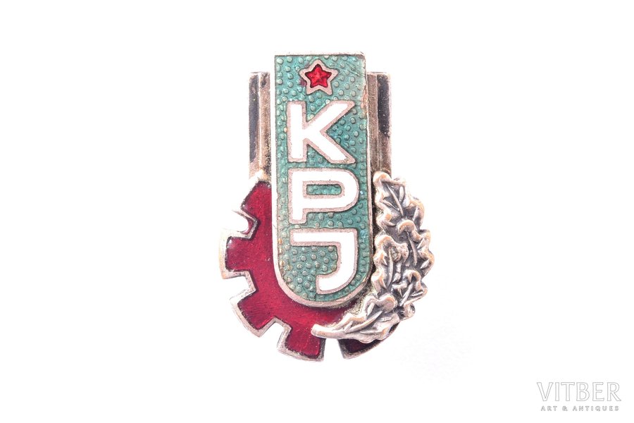 badge, Kaunas Polytechnic Institute, USSR, Lithuania, 22.9 x 15.9 mm