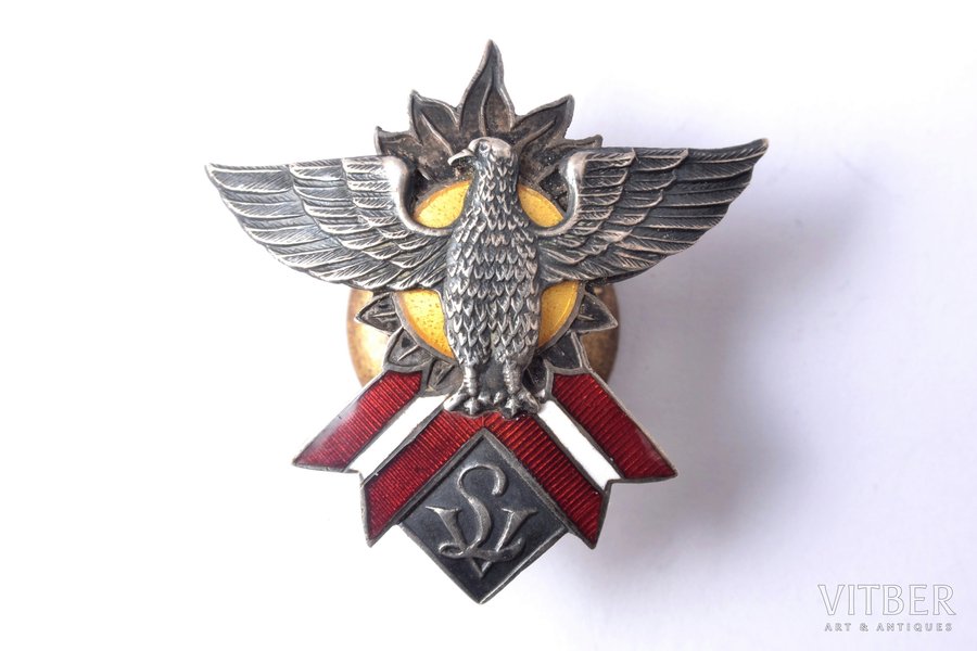 badge, Latvian Hawks, № 6452, Latvia, 20-30ies of 20th cent., 33.3 x 32.4 mm