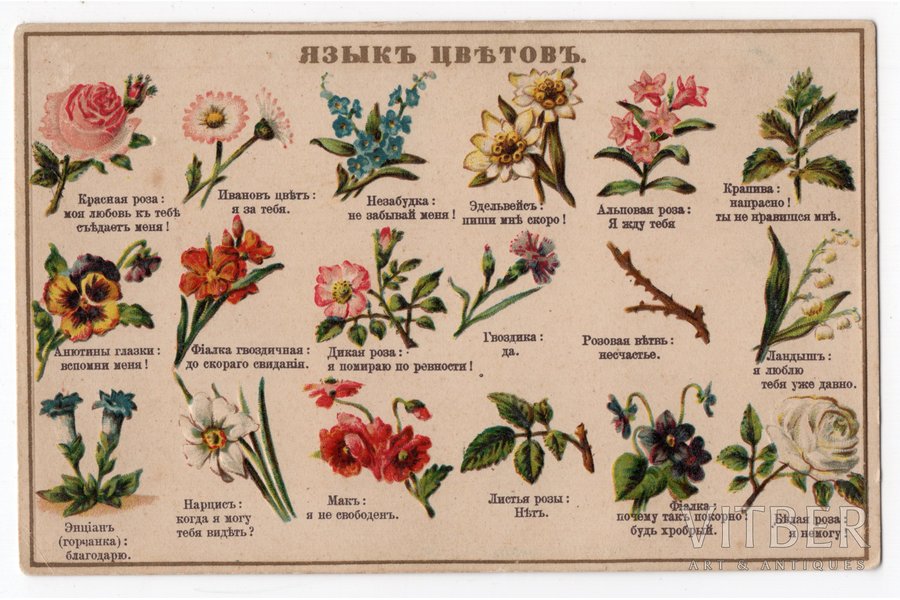 postcard, relief printing, flower's language, Russia, beginning of 20th cent., 14x9 cm