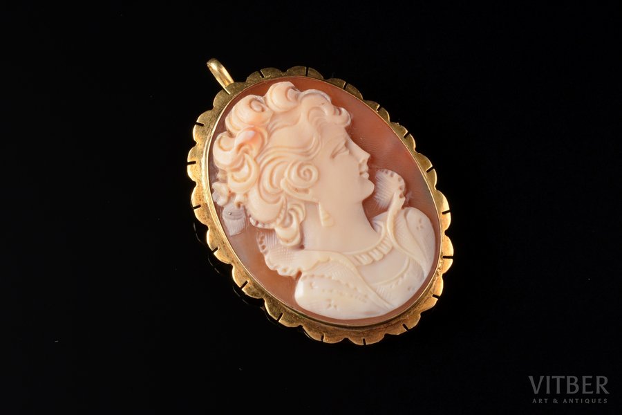 pendant-brooch, cameo, gold, 4.420 g., the item's dimensions 3.8 x 2.6 cm