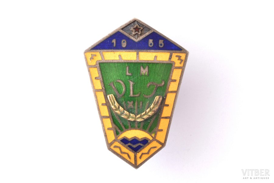 школьный знак, LM DLT, серебро, Латвия, СССР, 1955 г., 30.6 x 21.5 мм, 5.33 г
