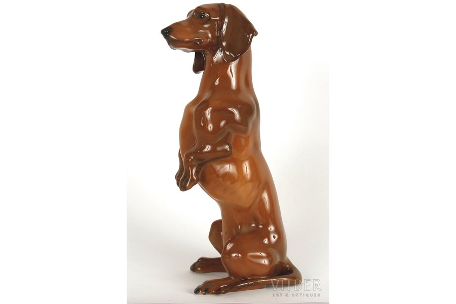 figurine, Dachshund, porcelain, Germany, Rosenthal, the 50ies of 20th cent., 13.5 cm