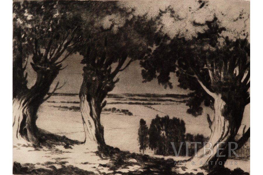 Апинис Артурс (1904-1975), Ивы у Кандавы, 1965 г., бумага, офорт, 29 x 39.5 см
